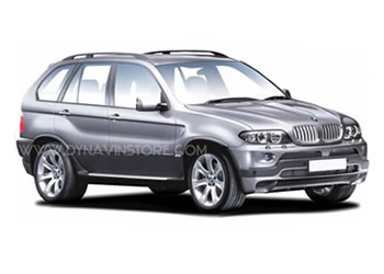 BMW x5 e53 dsp это что